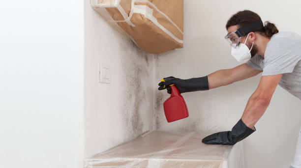 Professional Black Mold Remediation technician working in North Babylon, NY